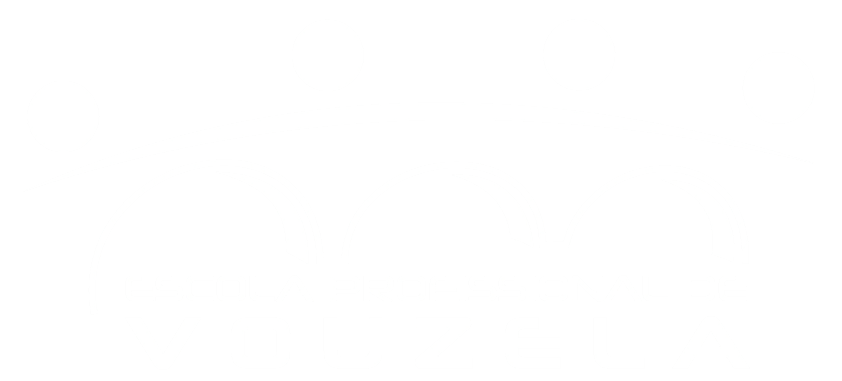 Escola Profissional de Vouzela