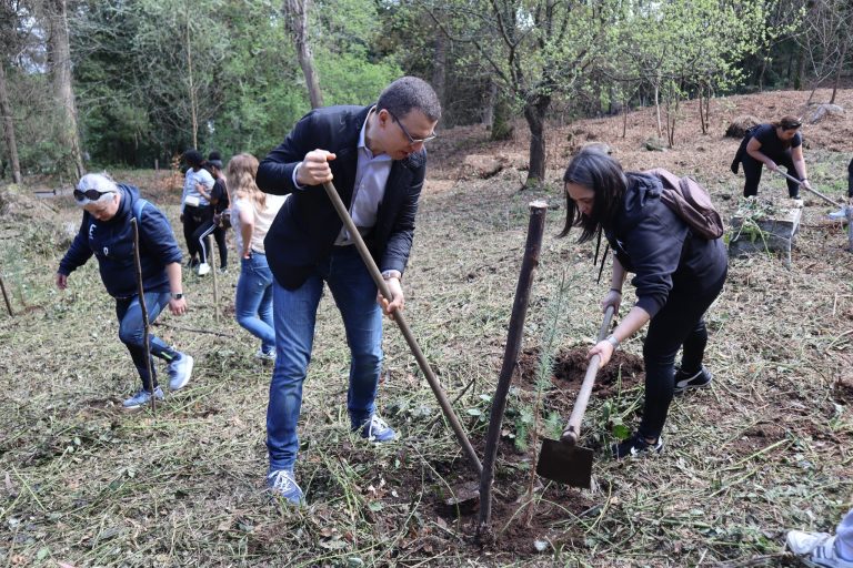 Caminhada e Reflorestação no Monte da Nossa Senhora do Castelo